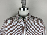 CR RanchWear Apparel & Accessories CR Simply Stated Brown and White Bengal Stripe with Teal Paisley